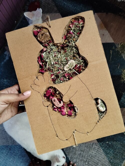 Bunny Grazing Tray – Foraging Fun & Enrichment - Image 10