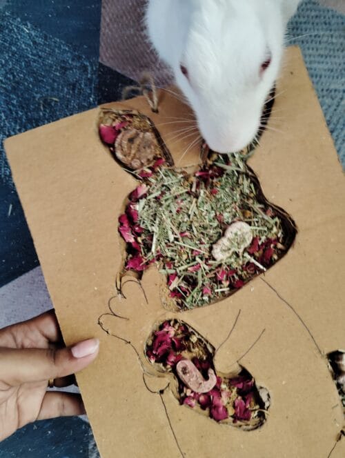 Bunny Grazing Tray – Foraging Fun & Enrichment - Image 8