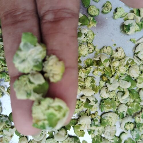 Crunchy Pea flakes – 100% Natural