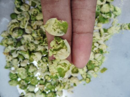 Crunchy Pea flakes – 100% Natural