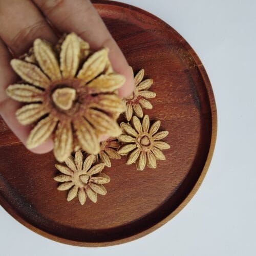 Mango Flowers Limited Edition