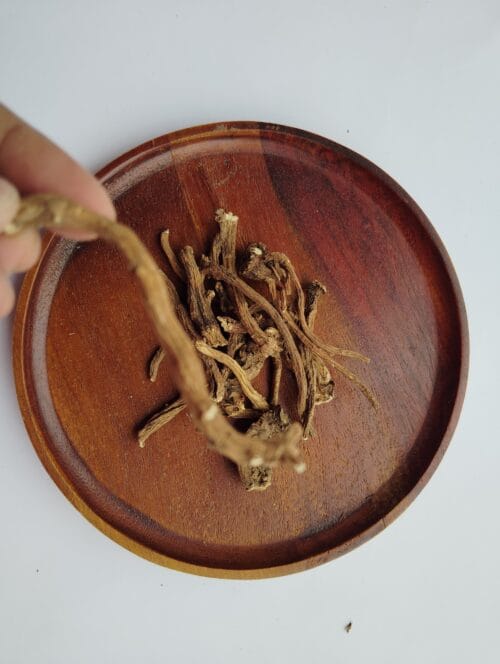 Dandelion Flower Roots – Natural Chew Treat - Image 2
