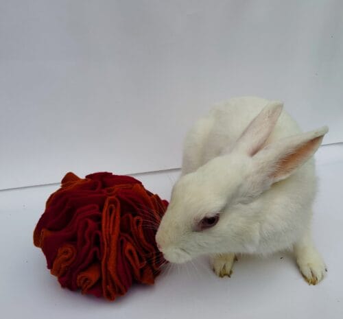 Fireball Snuffle Ball Summer - Image 3