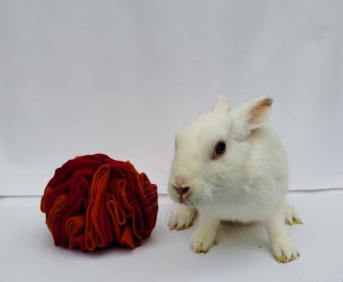 Fireball Snuffle Ball Summer