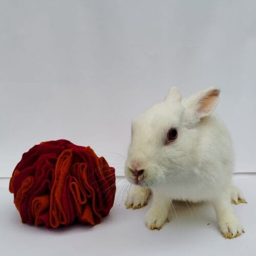 Fireball Snuffle Ball Summer