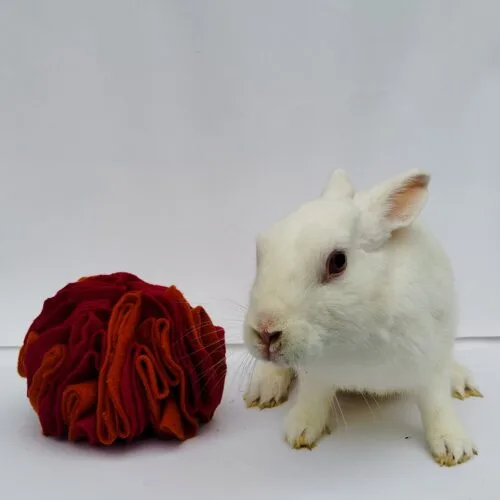 Fireball Snuffle Ball Summer