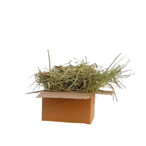 Timothy Hay 500gm