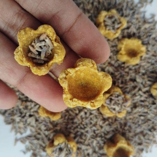 FLOWER PALLETS HALDI COOKIES 30PC(Lavender Filled)