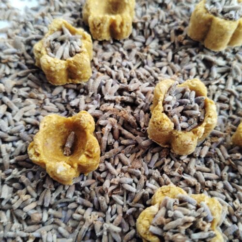 FLOWER PALLETS HALDI COOKIES 30PC(Lavender Filled)